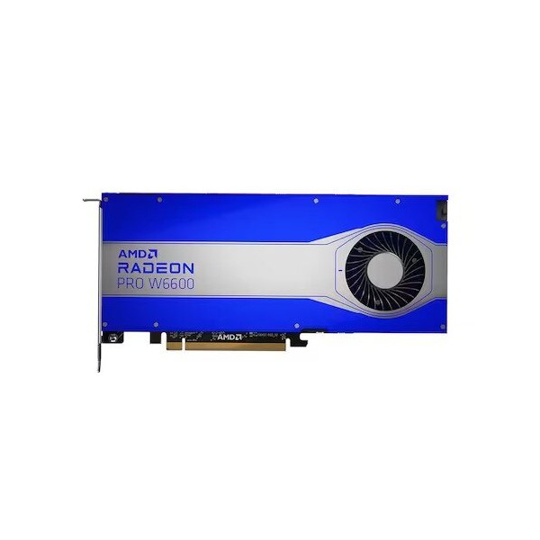 AMD 라데온 PRO W6600 D6 8GB 대원씨티에스 > 그래픽카드 